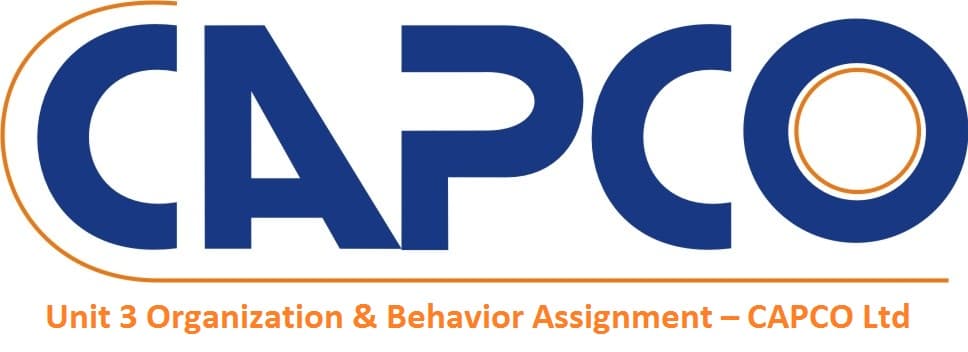 Unit 3 Organization & Behavior Assignment – CAPCO Ltd