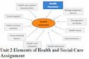 Unit 2 Elements of Health and Social Care Assignment 