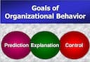 Organisational Behavior Assignment