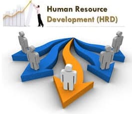 Human Resources Development Assignment