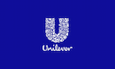 Unit 4 Marketing Principles Assignment - Unilever PLC