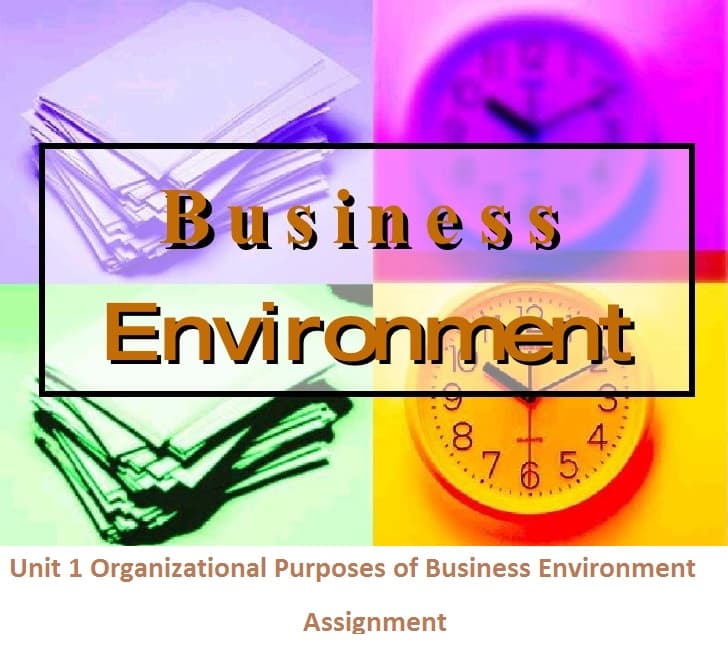 Unit 1 Organizational Purposes of Business Environment Assignment 