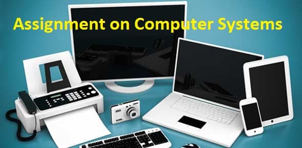 Assignment on Computer Systems 