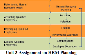 Unit 3 Assignment on HRM Planning 