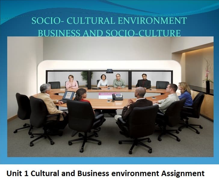 Cultural and Business environment Assignment