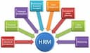 Unit 22 Managing Human Resources Solution Assignment 