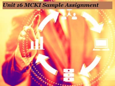 MCKI Sample Assignment