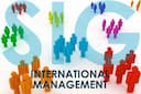 International Management Assignment Help