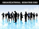 Organisational Behaviour Assignment Help 