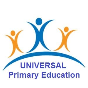 Role of Primary Education in Development