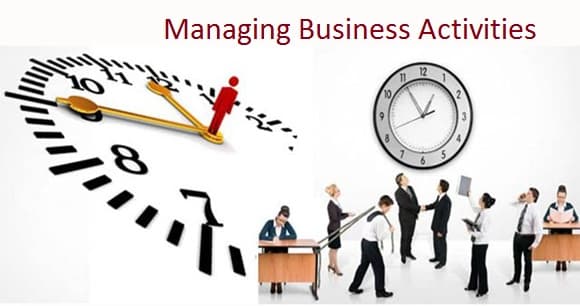 Managing Business Activities to Achieve Results Assignment Help